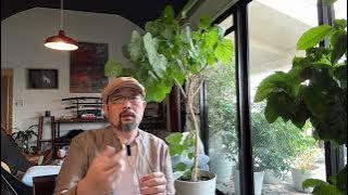 没搂住，聊个长的：天上人间头牌命案、副国级领导人命案——九十年代的治安乱象会重来一次么？｜梁海玲｜李沛瑶｜覃辉｜傅政华｜王吟秋｜戴厚英｜严打