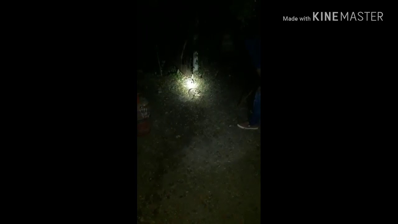 camera iphone 8 plus apk Rescued russula viper snake .........