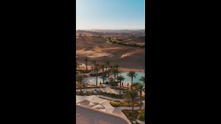 Red Sea Global The Pif Effect