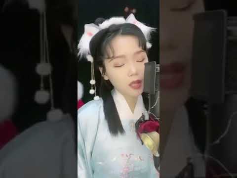 手掌心-丁噹｜cover by 晴天（除夕 元旦活動）