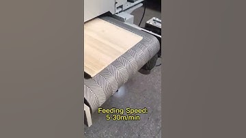 Woodworking Wood Parquet Surface Wire Brush Sander Machine