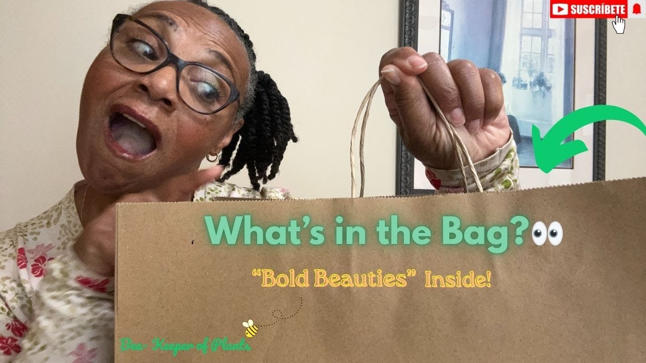 𝑾𝒉𝒂𝒕'𝒔 𝒊𝒏 𝒕𝒉𝒆 𝑩𝒂𝒈? 👀 𝑺𝒂𝒚 𝑯𝒆𝒍𝒍𝒐 𝒕𝒐 𝑻𝒉𝒆𝒔𝒆 𝑩𝒐𝒍𝒅 𝑩𝒆𝒂𝒖𝒕𝒊𝒆𝒔 𝒘𝒊𝒕𝒉 𝑬𝒚𝒆 𝑪𝒂𝒕𝒄𝒉𝒊𝒏𝒈 𝑭𝒐𝒍𝒊𝒂𝒈𝒆!