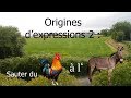 Origines D 39 Expressions 2 Sauter Du Coq à L 39 âne mp3