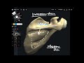Basic anatomy and function of rotator cuff