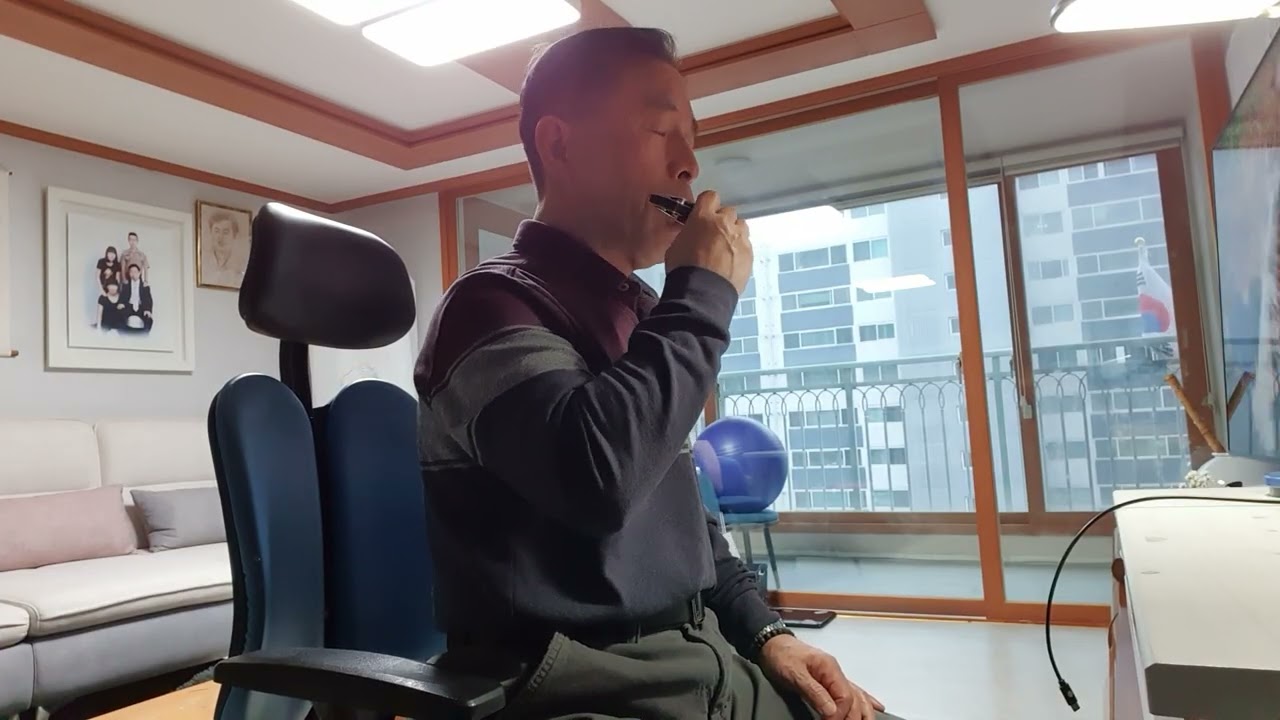 뿐이고#박구윤#흥과 신나는 박자#하모니카 c키(@밤부엉이-q5e )