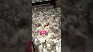 subscribe🙏Granny Game gun 🔫 Secret Escape?Trick😱#granny #grannygame#shorts