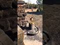 Mat Kar Maya Ko Ahankar - Panchrang - Kabir Cafe #mahadev #sivratri #trending #shortvideo