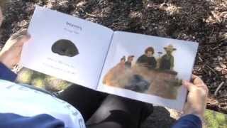 Diary of a Wombat - Jackie French