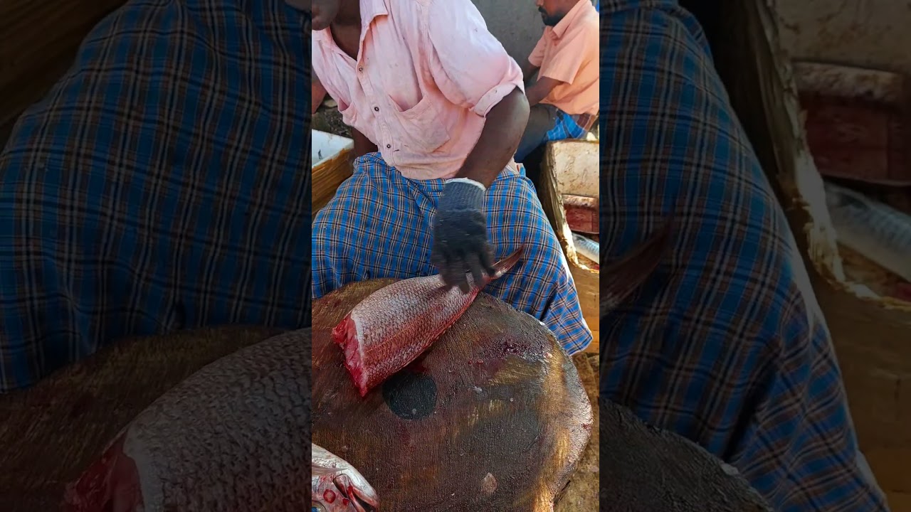 🤯KASIMEDU FISH CUTTING SKILLS VIDEO 