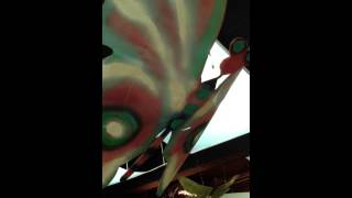 IMG 4730