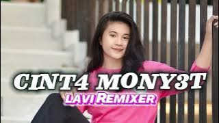 LAGU WAYASE CINTA MONYET TIKTOK TERBARU 2023 [ LAVI TME ] REMIX