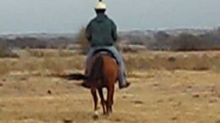 MVI_5625.AVI