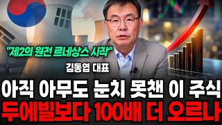 "제 2의 원전 르네상스 열렸다" 아직 아무도 눈치 못챈 이 주식, 두에빌보다 100배 더 오르나 (김동엽 대표 / 4부)
