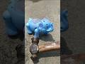 Remote control amazing elephant amazing toy