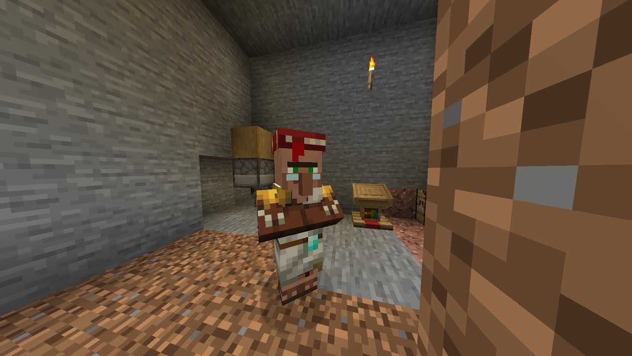 Minecraft Lanscape letsplay Ep. 1 Villager Doctors! YouTube