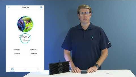 AI Light: Using the Settings tab