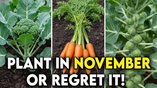 20 Most Productive Crops You Must Plant in November Before it's Too Late