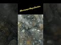 Microscope Magnification #gold #golddigger  #mineral