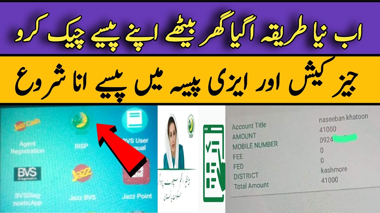 Benazir Income Support Program Check How to Check Benazir income support program balance | BiSP check ...