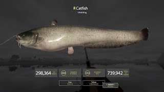 Russian Fishing 4 - Monster Trophy Catfish 179kg at Akhtuba