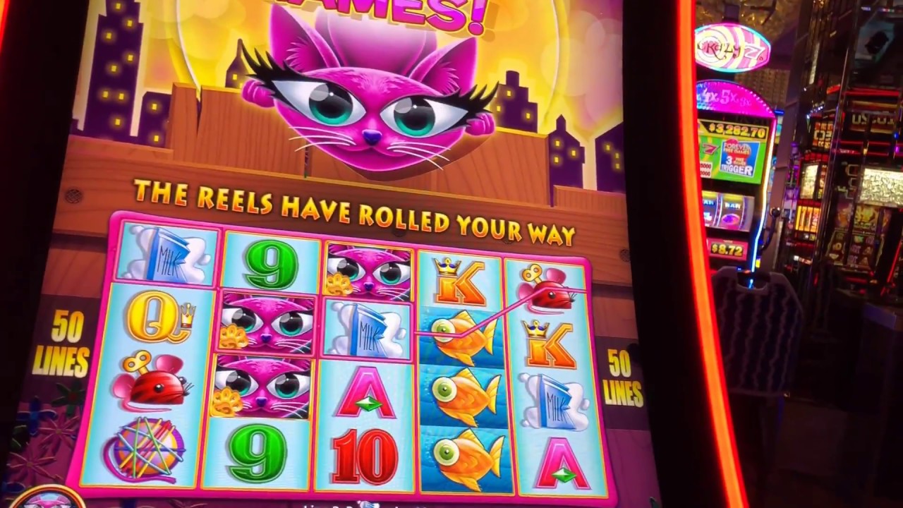 Jogos de casino gratis Penguins in Paradise Jogos de casino gratis Penguins in Paradise