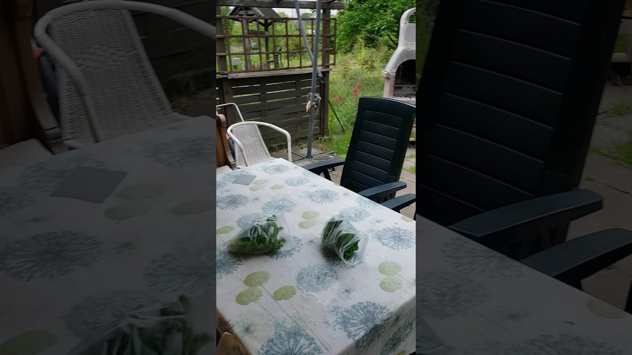 Nenni bebek.. 6.2020 YouTube