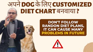 Why Balanced Diet is so important for your dogs | Get Customized Diet Chart NOW | Baadal Bhandaari