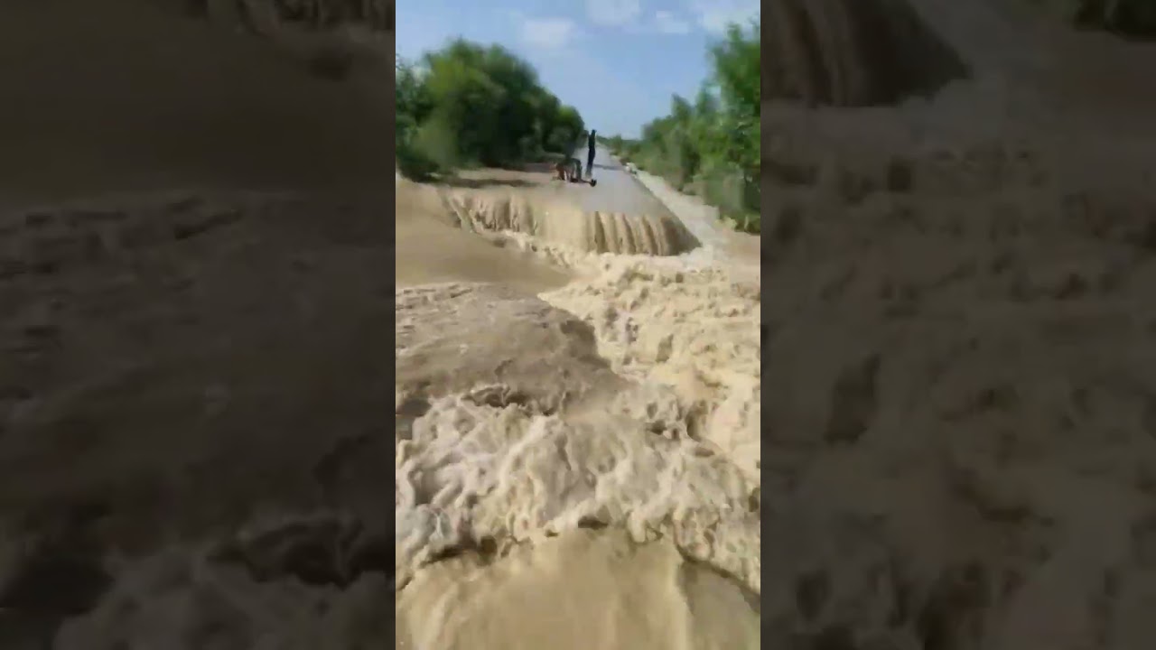 Floods in Pakistan / Flood in layyah / Selab ki tabah karian