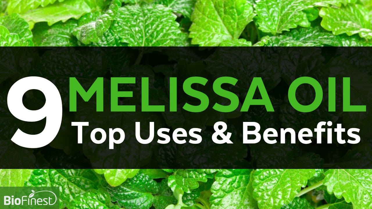 9 Uses, Benefits and Healing Properties of Melissa Essential Oil YouTube