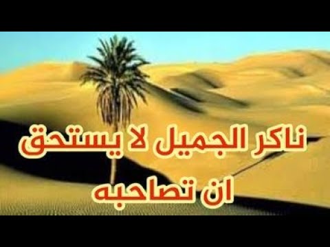 ناكرالجميل هو أسوأ مخلوق على وجه الأرض