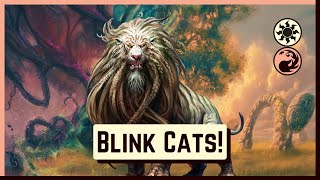 🐈 Boros Cat Combo! | Lorwyn Eclipsed Standard! | MTG Arena
