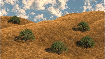 Maya: Natural Environments