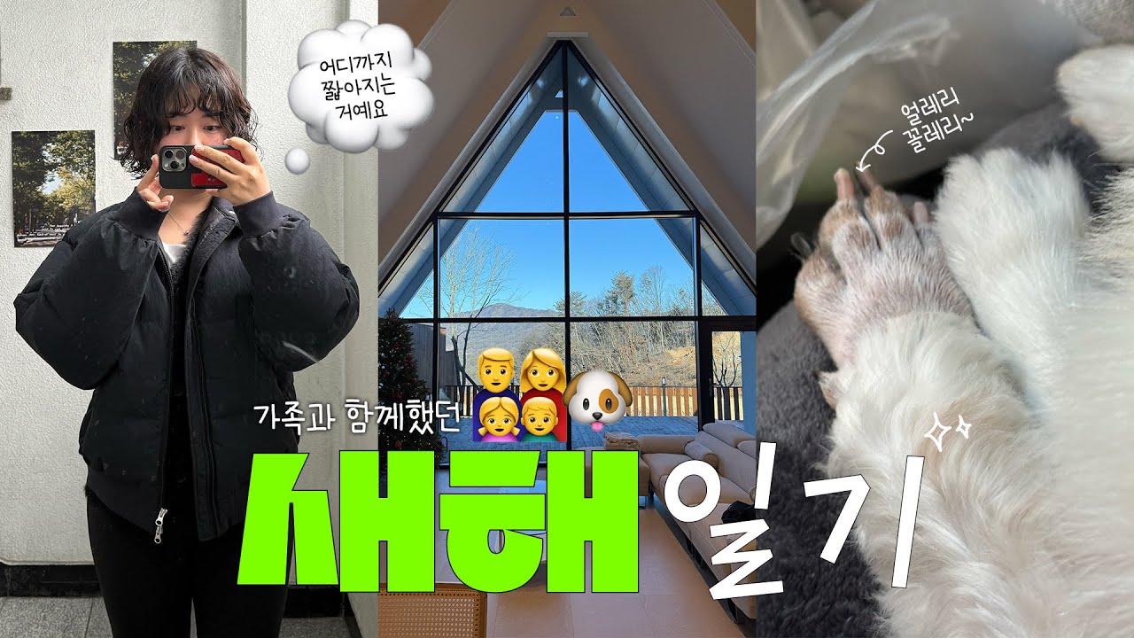 yosmwoorin vlog📝 벌써 2026년이라니..❕새해 근황 가득✨(또 머리파마 💇🏻‍♀️•스타필드•강아지 펜션 추천🏡•새해 안경 맞추기👓/코피나서 가습기🩸) 