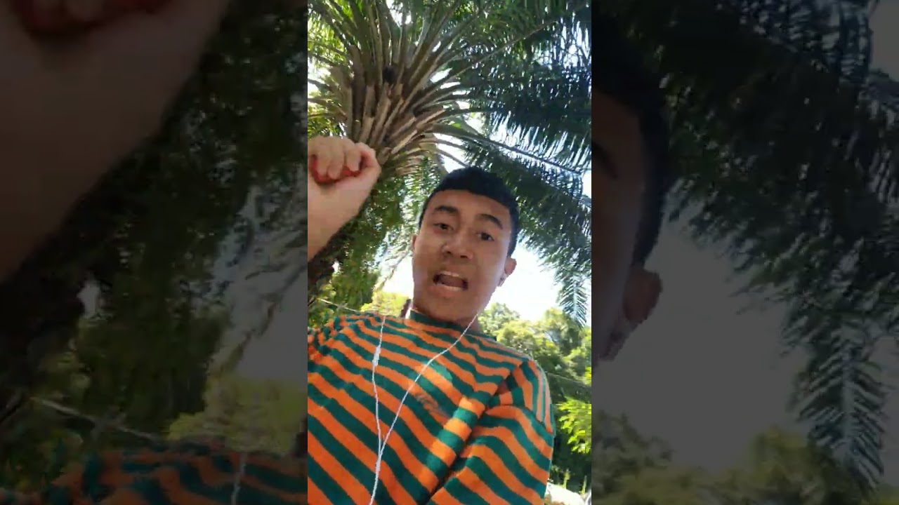 Watch Let's GO!! Stylophone Meme on YouTube Watch Let's GO!! Stylophone Meme on YouTube