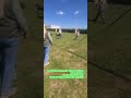 #hundementalist #hundetraining #socialwalk