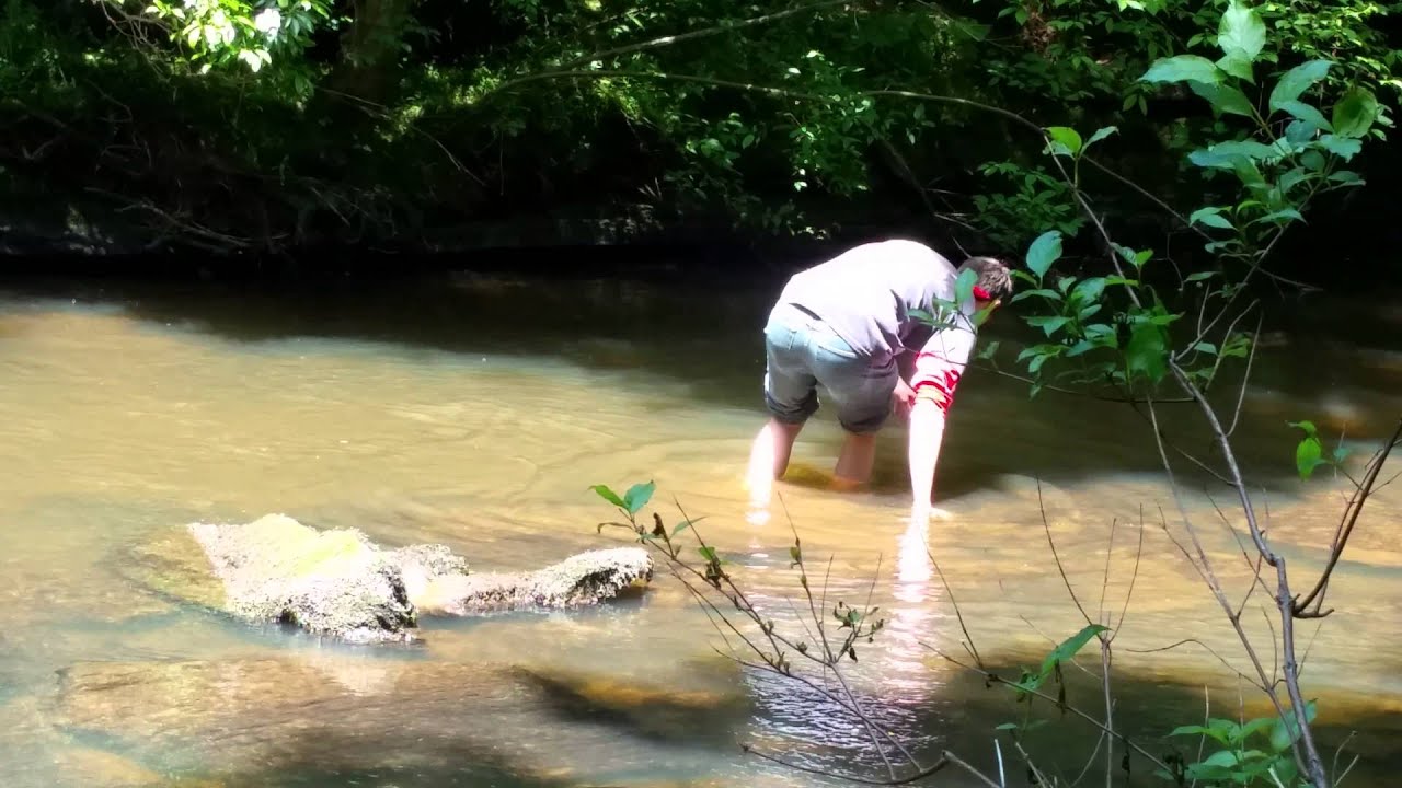 autism quotes Bledsoe County Forrest, TN