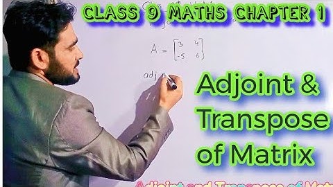 How to find Adjoint and Transpose of Matrix | Class 9 Maths Chapter 1 Matrices Urdu