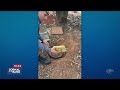 Polícia Militar intercepta avião do tráfico no interior de SP | Jornal da Band