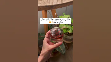 العطر الأنثوي اللي تاخذينه وانتي مغمضة عطر سكاندال فانير 