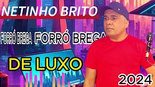 FORROZÃO BREGA DE LUXO NETINHO BRITO UM MOMENTO DO FORRÓ