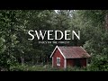 Deep in the Swedish Forests | Scandinavia Pt. 2 | # 22