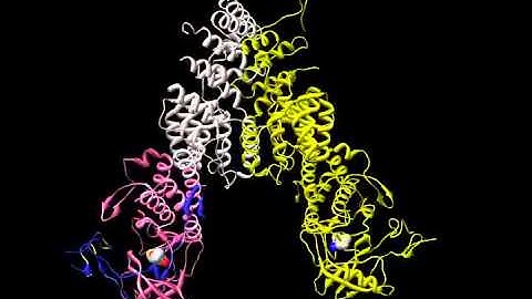 pieters_scherr_honnappa_et_al_2007_pkng_ax20017_x_rotating.mov