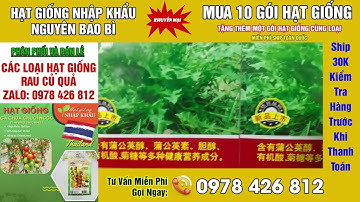 bán buôn bán lẻ hạt giống bồ công anh lấy rau ăn nhập khẩu đài loan nguyên bao bì ai cần liên hệ