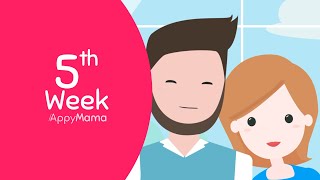 Week 5 of #pregnancy | The effects of hormones
