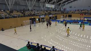 20180730 男子ハンドボール 準々決勝 法政二神奈川県対 駿台甲府山梨県