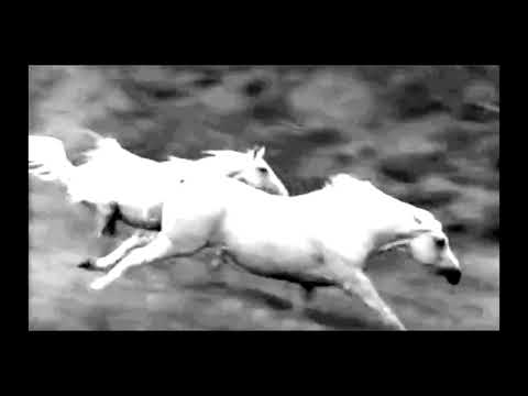luis votton (gorra hijo de puta) - ACH (Lyrics Video)