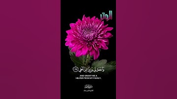 سورة طه/فارس عباد