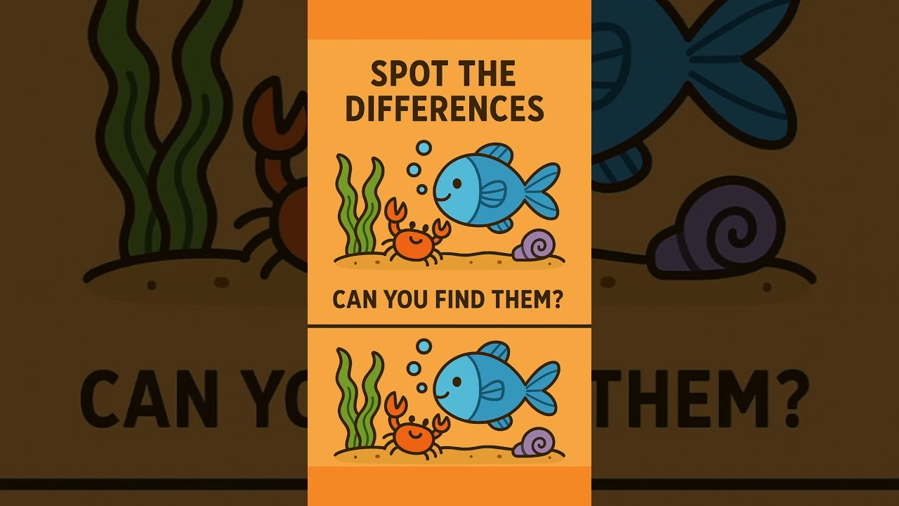 Spot The Differences 