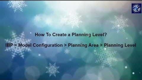 IBP : How to Create a Planning Level in IBP