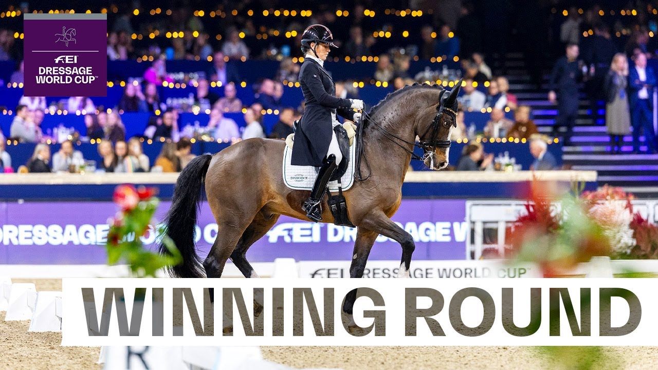 A flawless performance by Fabulous Flambeau in Mechelen ✨👏 |  FEI Dressage World Cup™ Mechelen 2025